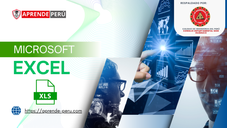 MICROSOFT EXCEL 2025