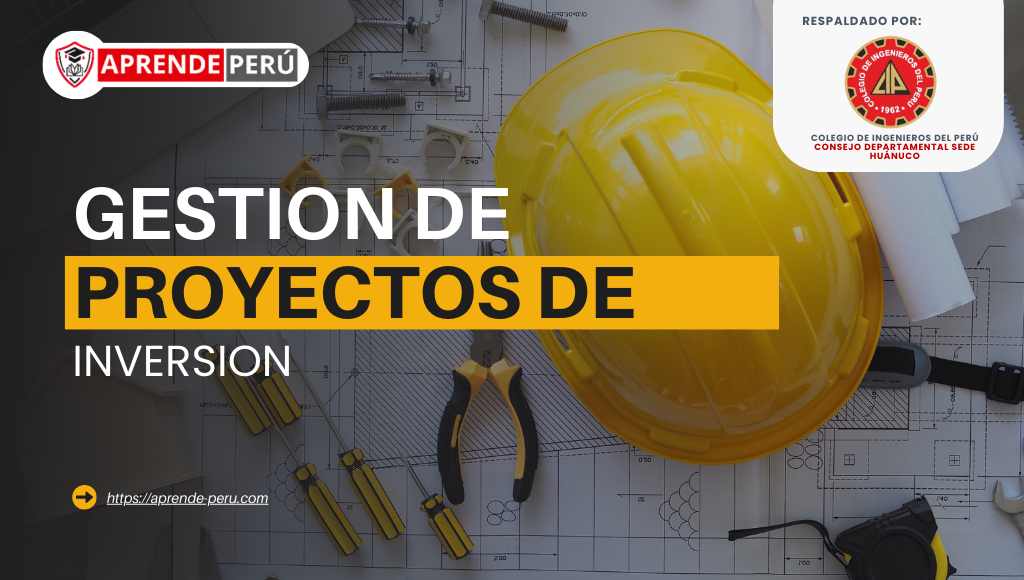 GESTION DE PROYECTOS DE INVERSION